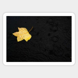 Yellow Leaf in the Rain Sticker